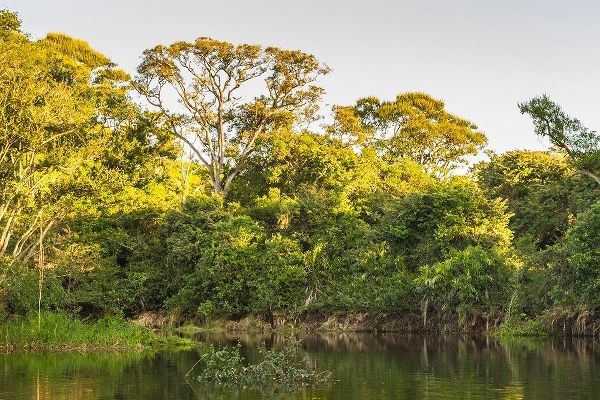 Brazil-Pantanal Cuiaba River landscape
